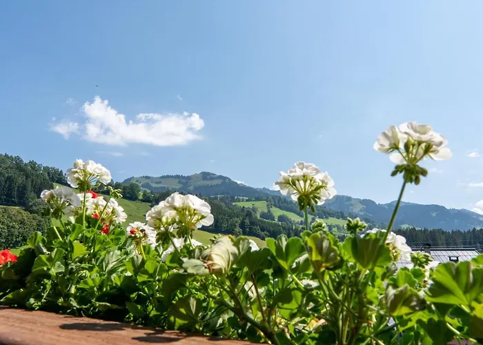 Hotel Kitz Garni Boutique